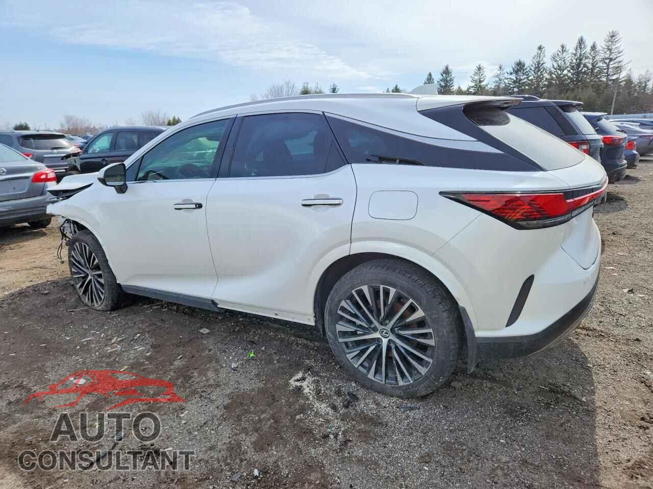 LEXUS UNKNOWN 2024 - 2T2BBMCA6RC034652