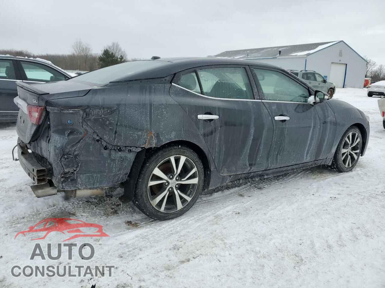 NISSAN MAXIMA 2017 - 1N4AA6AP8HC383475