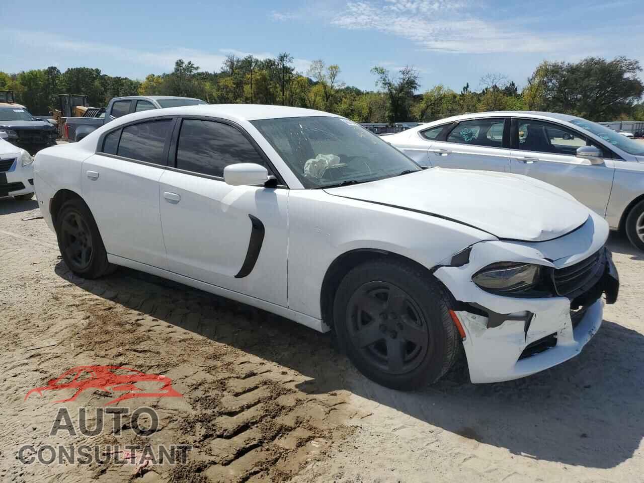 DODGE CHARGER 2019 - 2C3CDXAG2KH599203