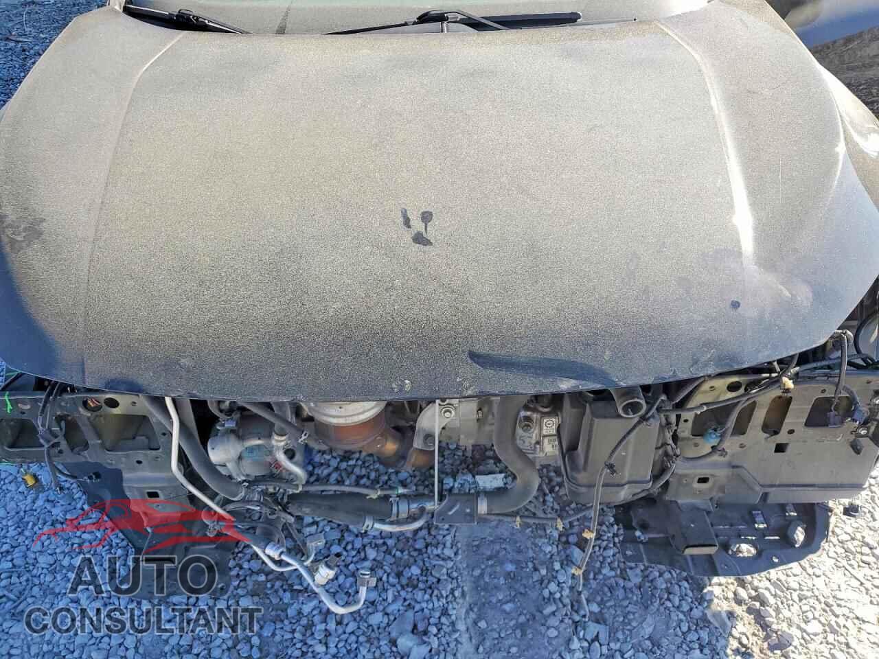HONDA CIVIC 2019 - 2HGFC2F83KH604717
