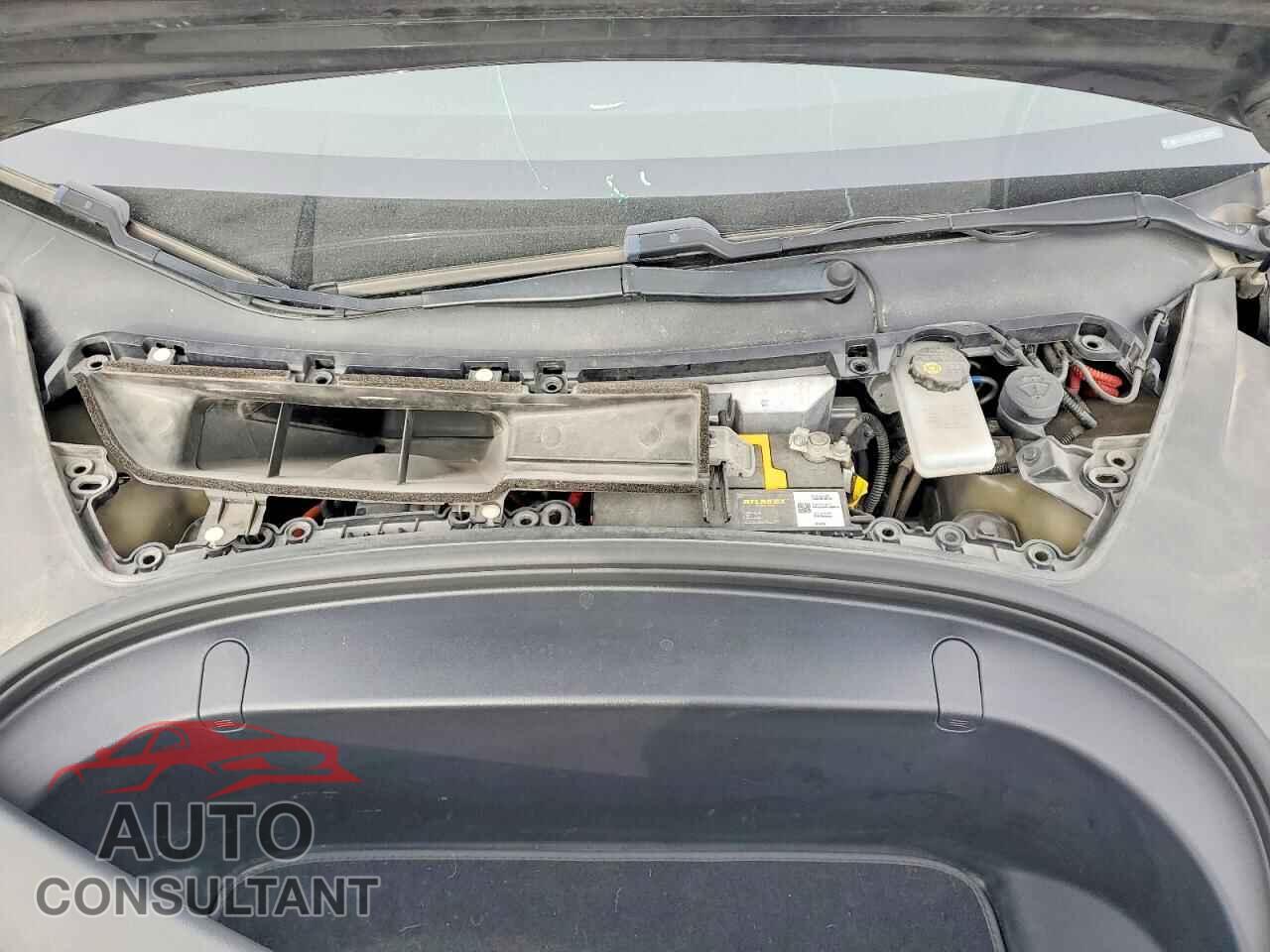 TESLA MODEL 3 2019 - 5YJ3E1EB7KF391683