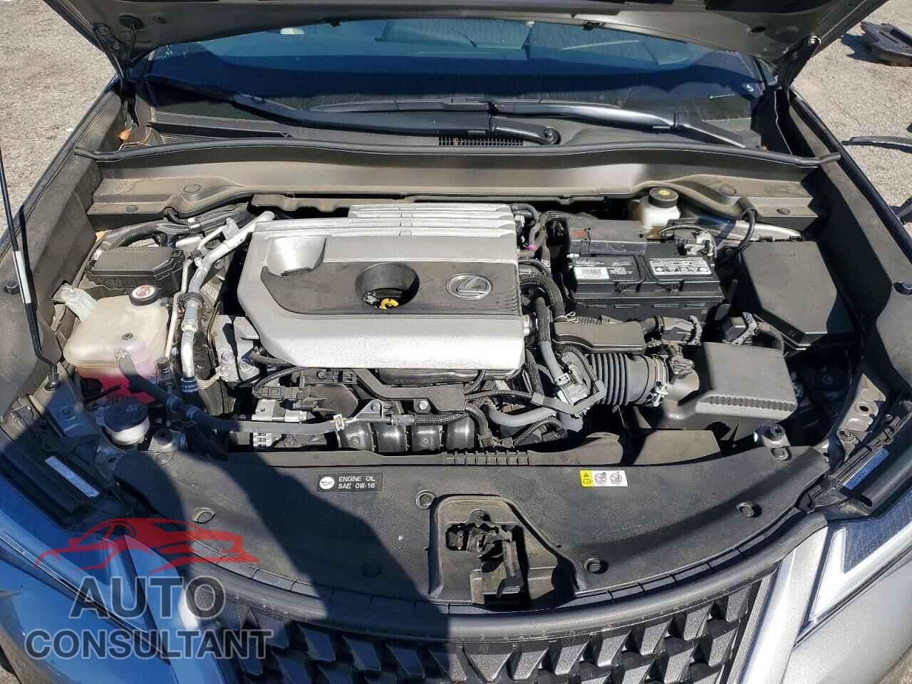 LEXUS UNKNOWN 2019 - JTHY3JBHXK2012505