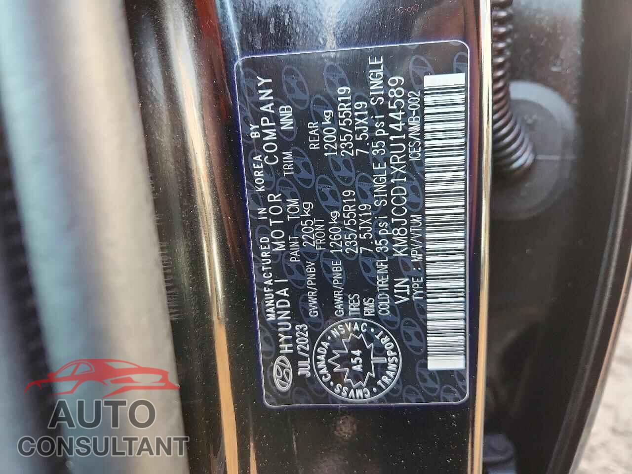 HYUNDAI TUCSON 2024 - KM8JCCD1XRU144589