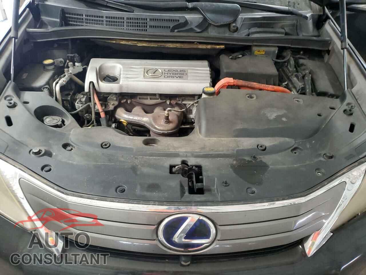 LEXUS HS 2010 - JTHBB1BA2A2028692