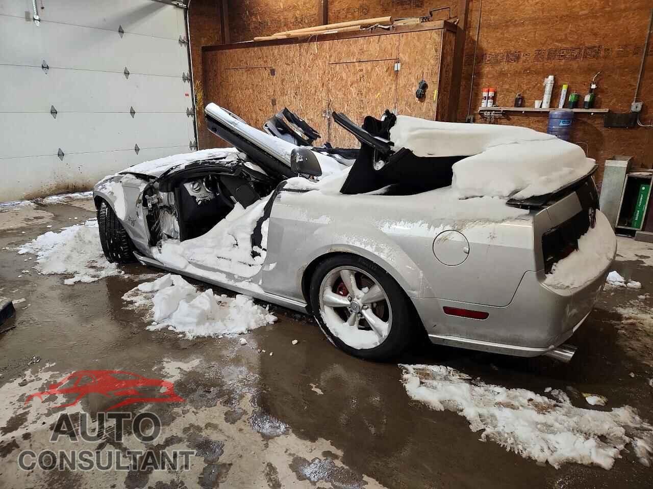 FORD MUSTANG 2009 - 1ZVHT85H895134629