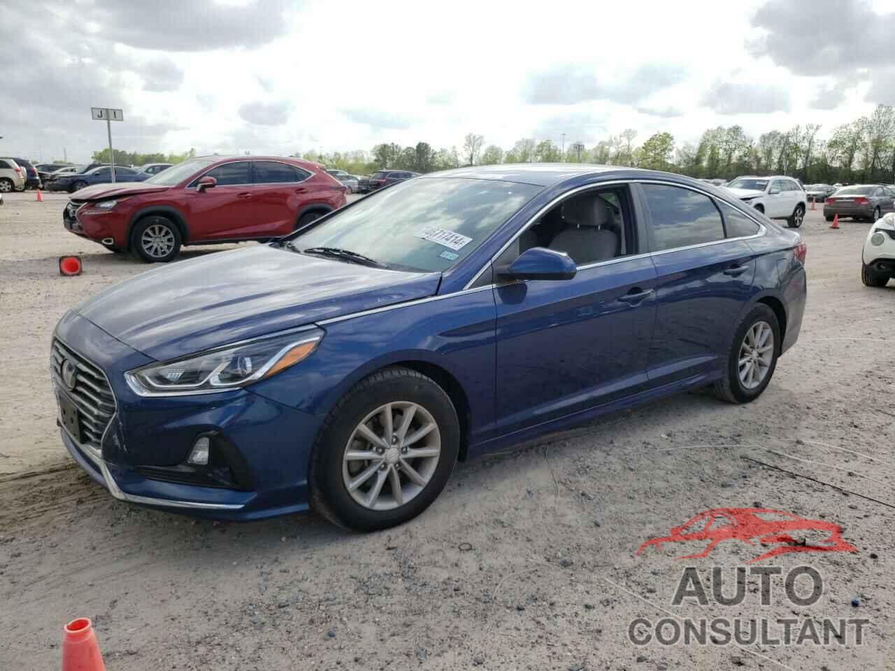 HYUNDAI SONATA 2019 - 5NPE24AF7KH789652