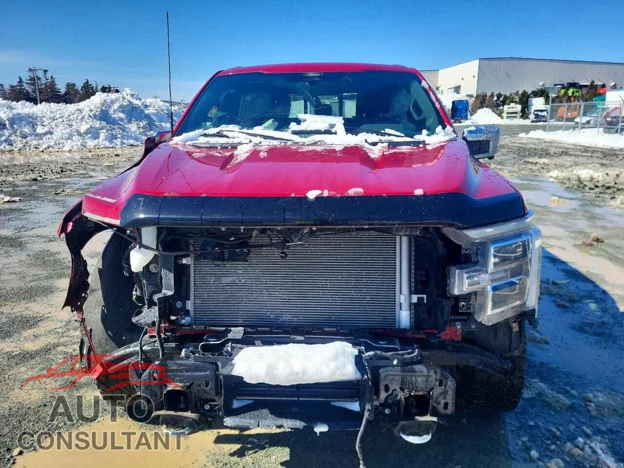 FORD F150 2024 - 1FTFW5L80RKD65884