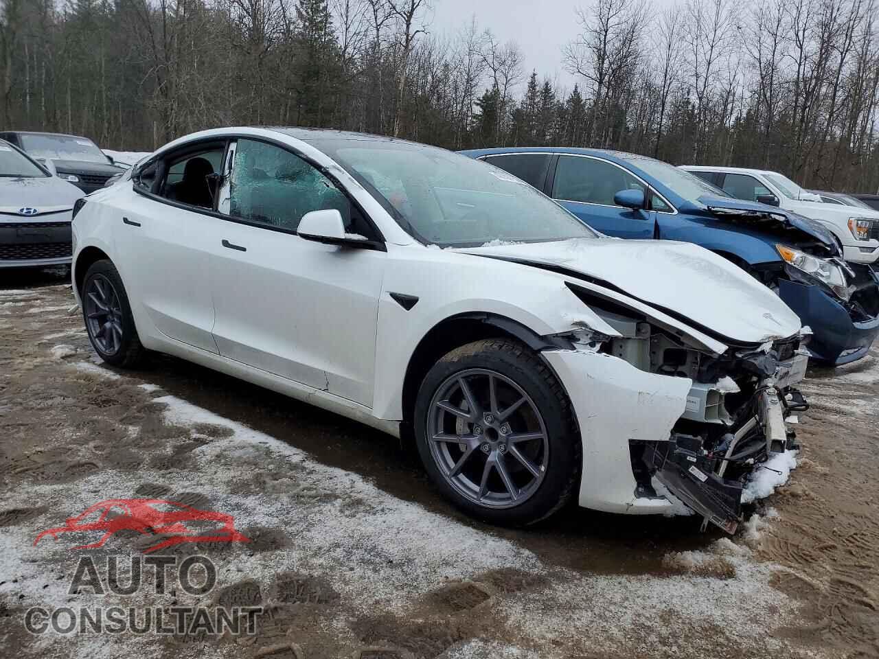 TESLA MODEL 3 2023 - LRW3E1FA9PC845777