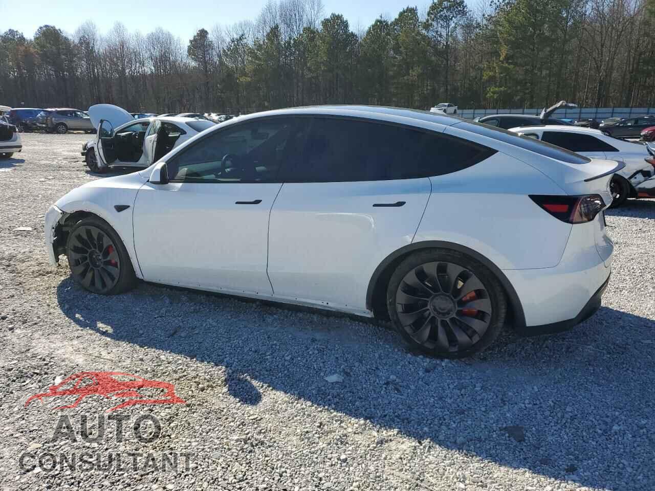 TESLA MODEL Y 2023 - 7SAYGDEFXPF935544