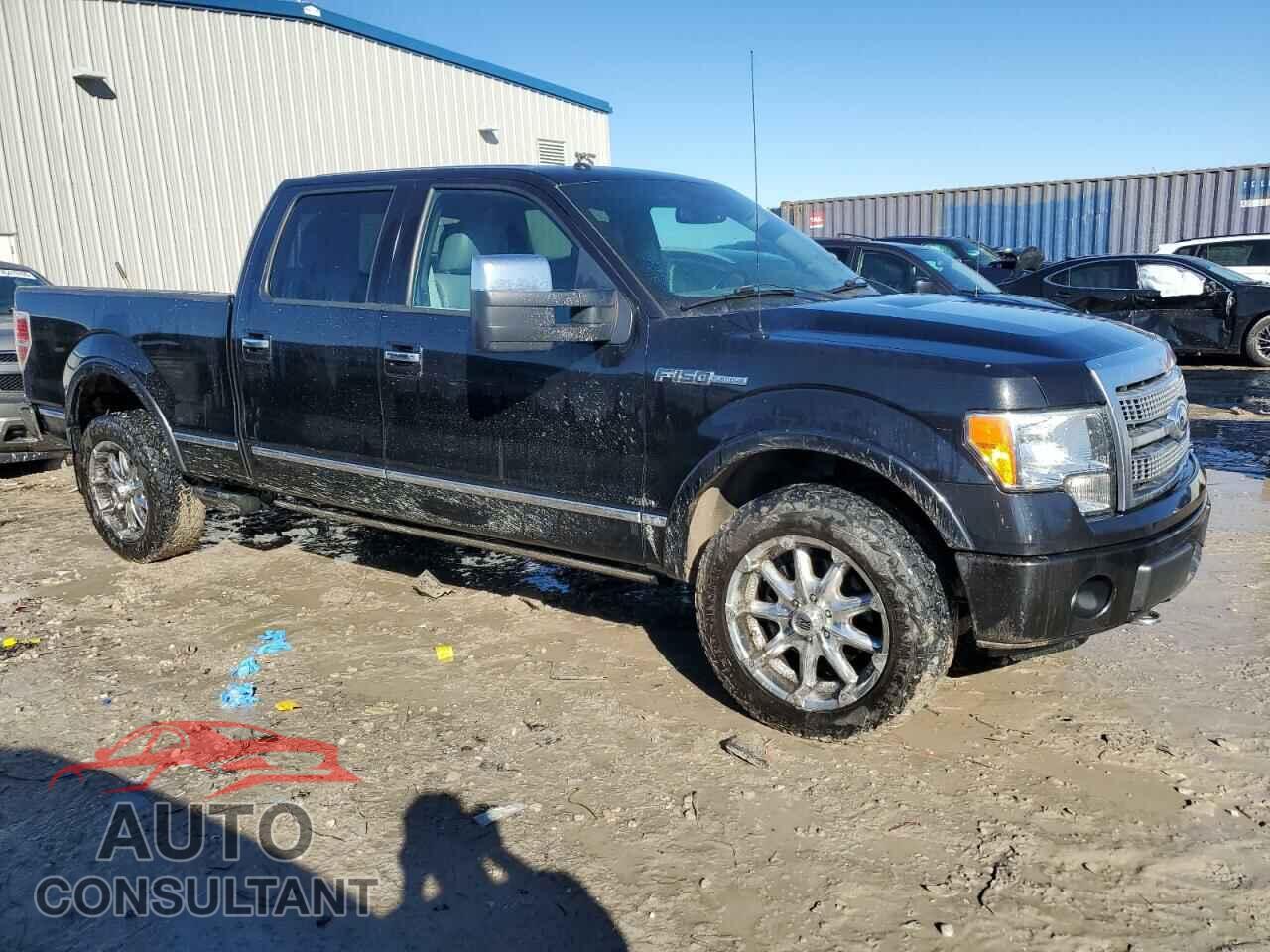 FORD F-150 2011 - 1FTFW1ET5BFB48226