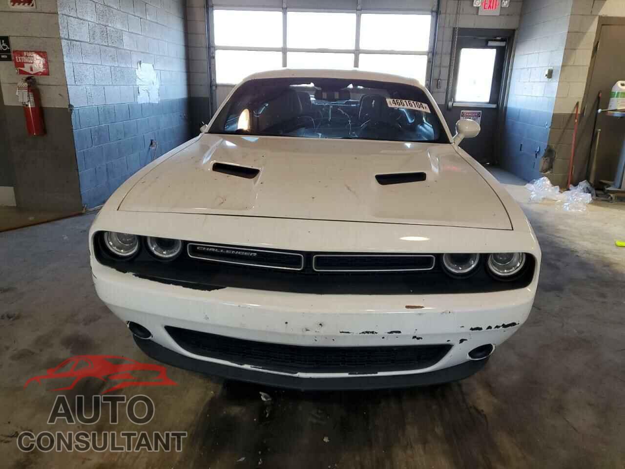 DODGE CHALLENGER 2019 - 2C3CDZAG8KH627789