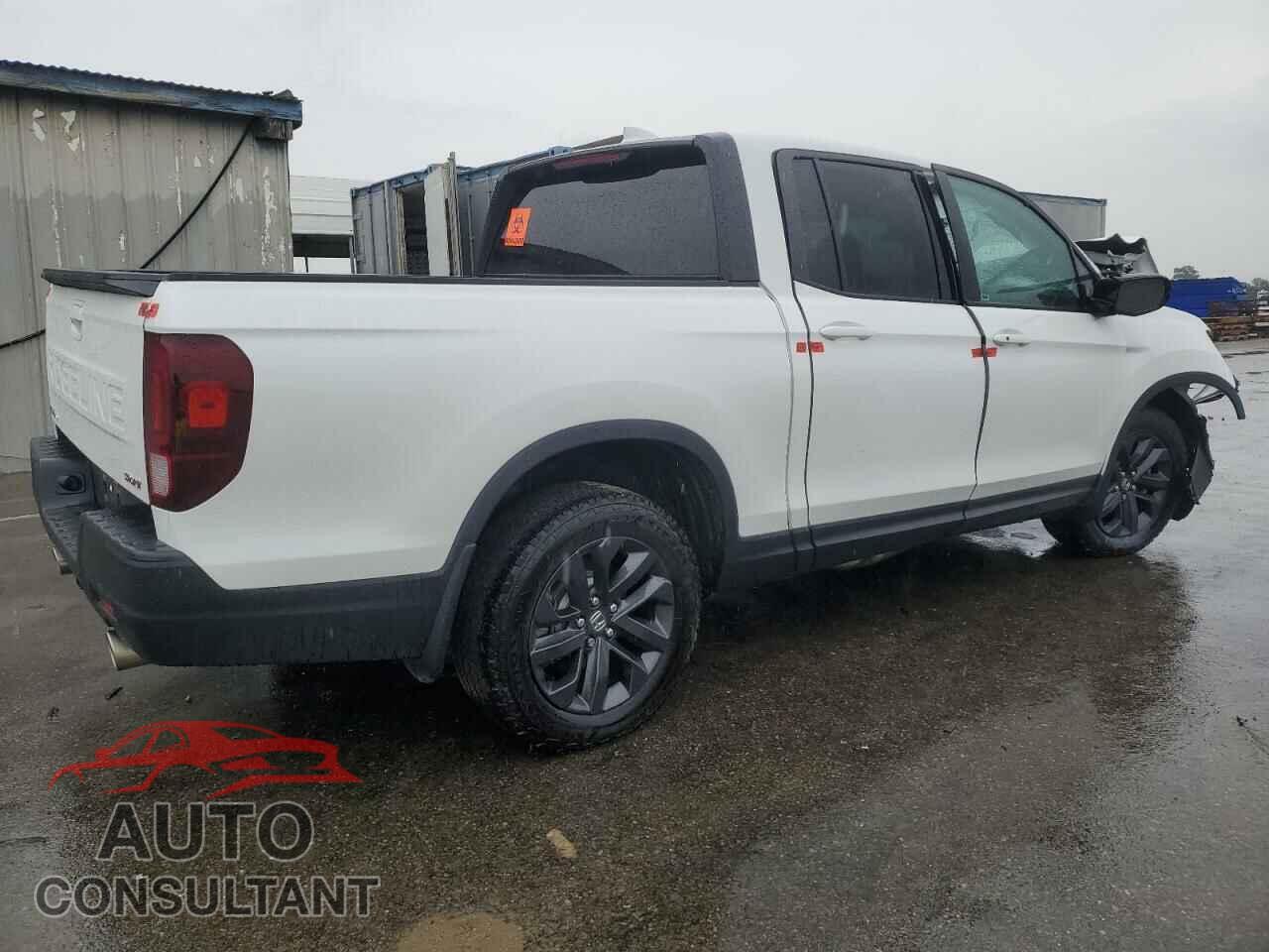HONDA RIDGELINE 2024 - 5FPYK3F17RB025370