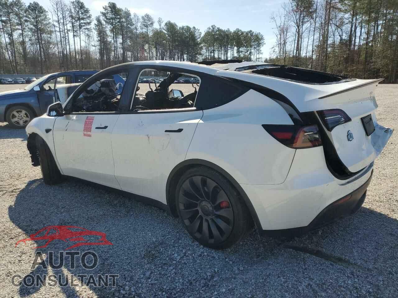 TESLA MODEL Y 2024 - 7SAYGDEF5RF183755