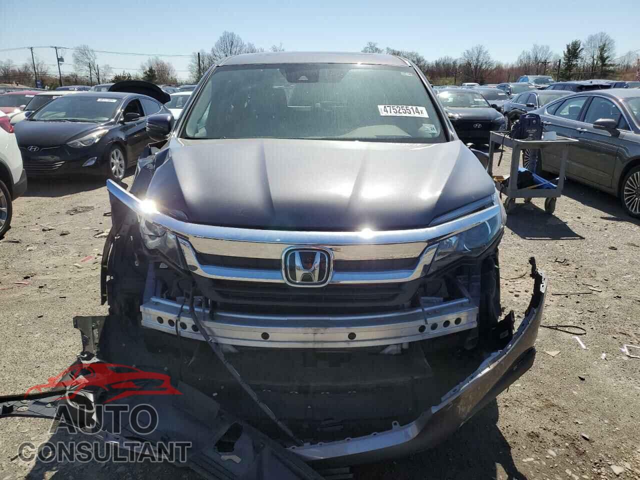 HONDA PILOT 2019 - 5FNYF6H56KB069445