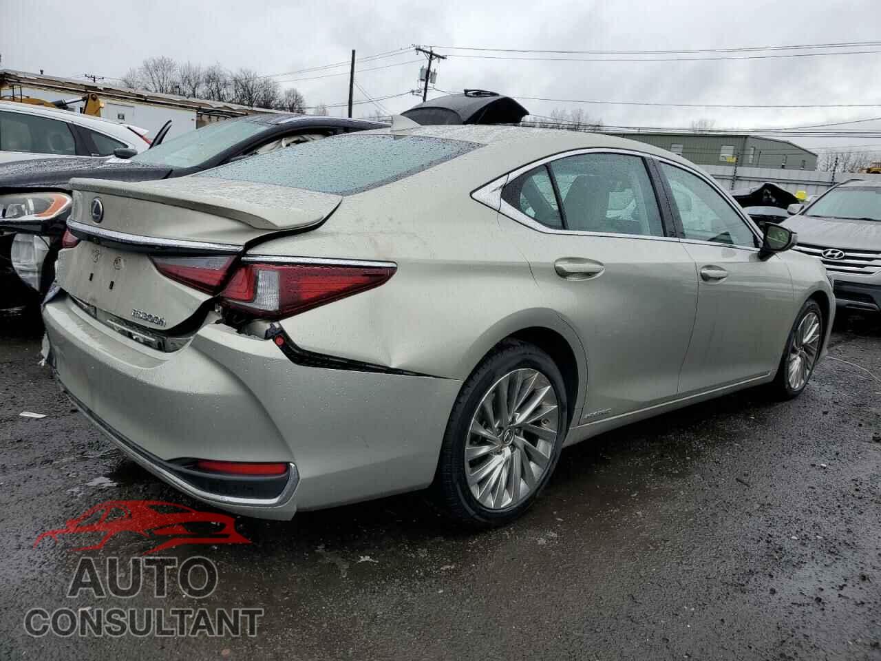 LEXUS ES300 2019 - 58AB21B1XKU001218
