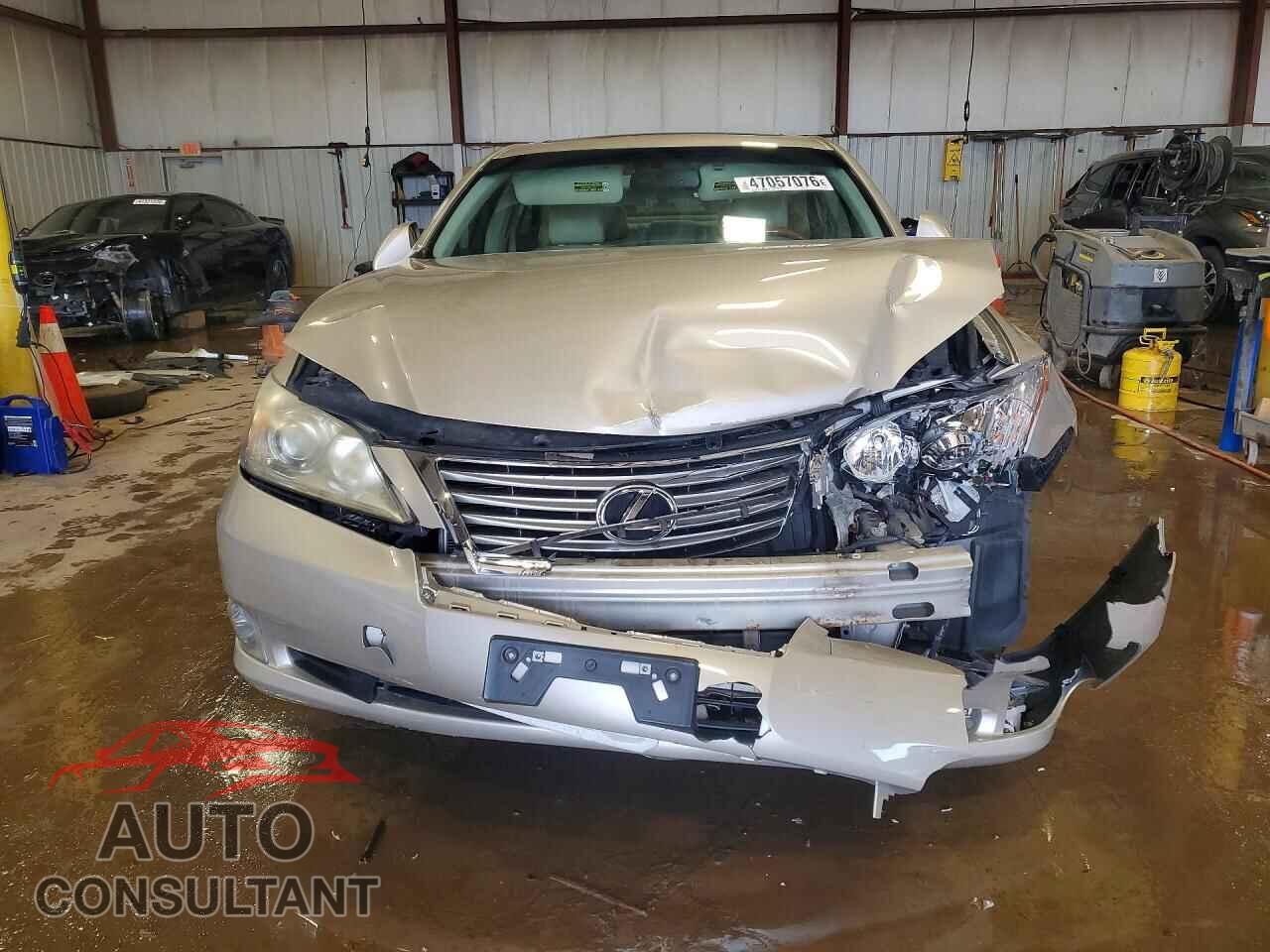 LEXUS ES350 2010 - JTHBK1EGXA2377812