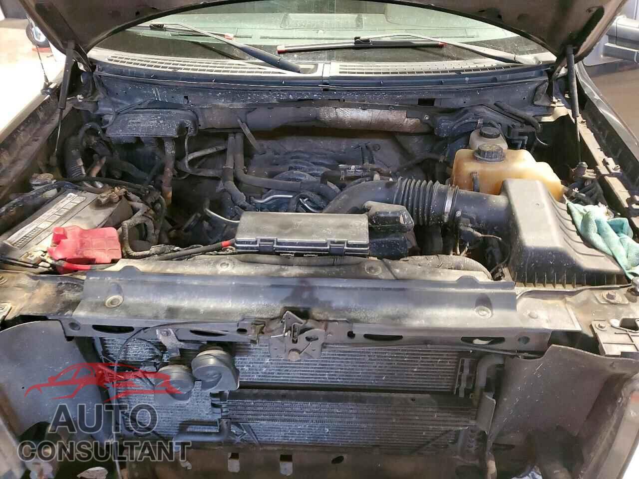 FORD F150 2011 - 1FTFW1EF8BFB07146