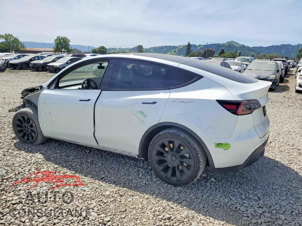 TESLA MODEL Y 2023 - 7SAYGDEE6PF635149