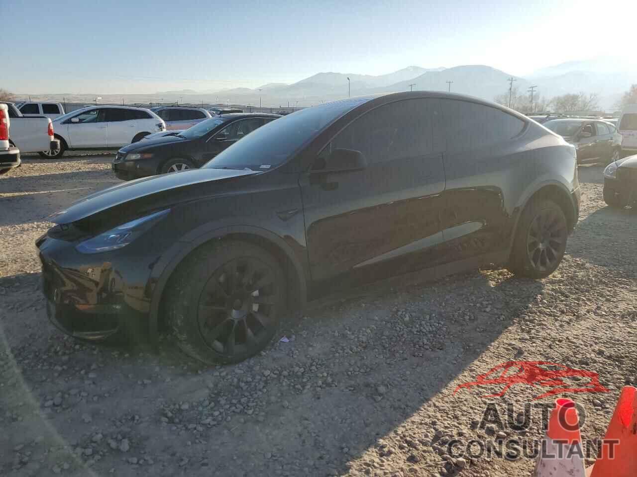 TESLA MODEL Y 2024 - 7SAYGAEE8RF017168