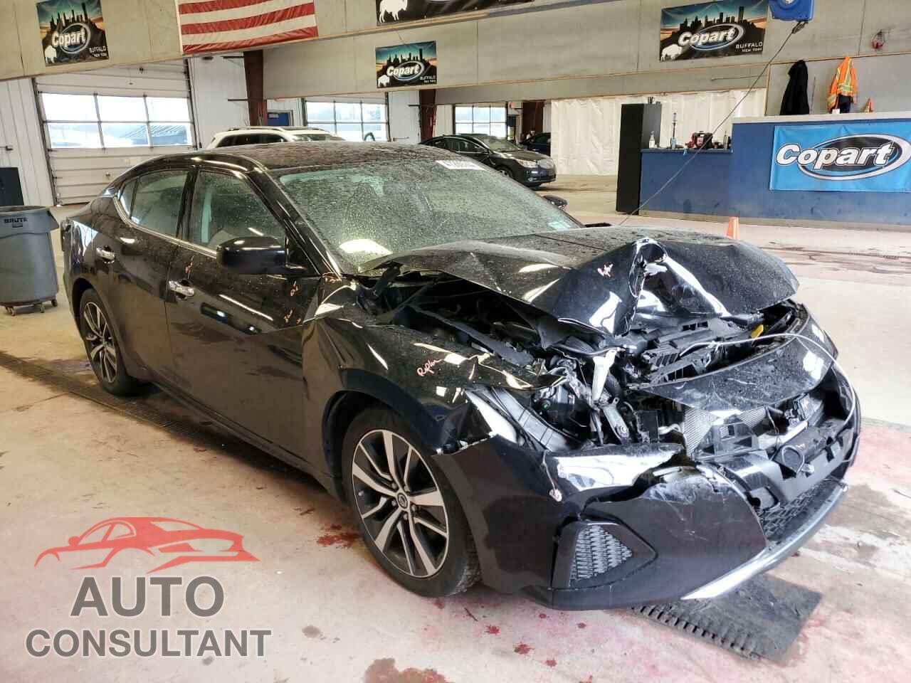 NISSAN MAXIMA 2019 - 1N4AA6AV2KC380643