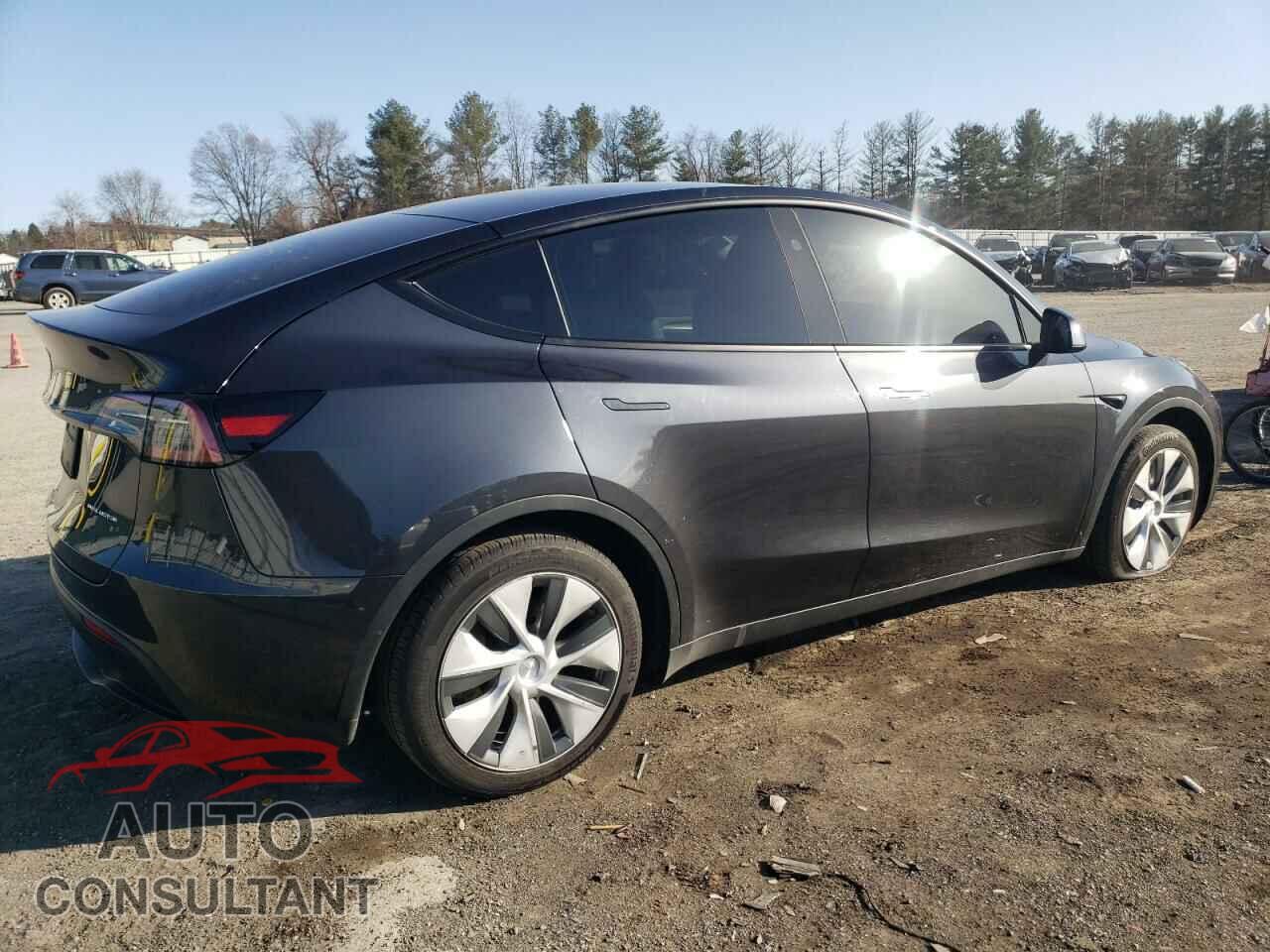 TESLA MODEL Y 2024 - 7SAYGDEE4RF033207