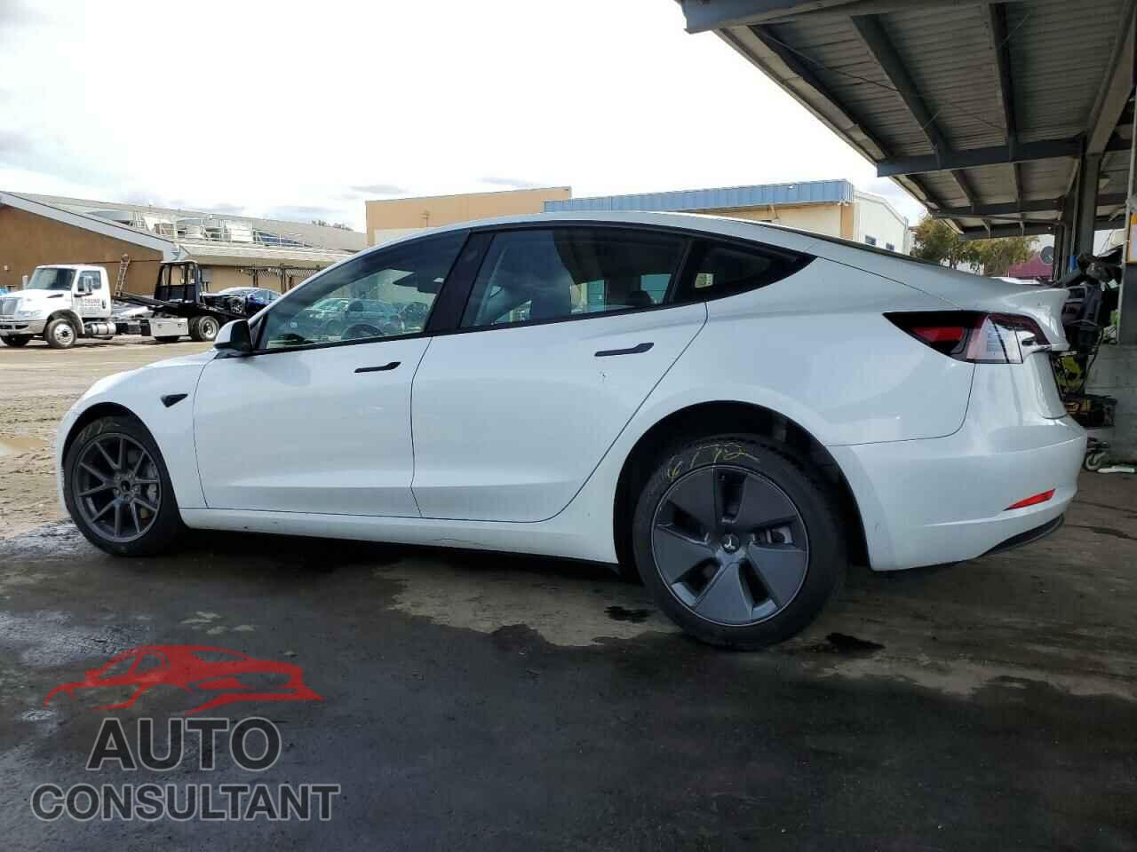 TESLA MODEL 3 2023 - 5YJ3E1EA1PF646441
