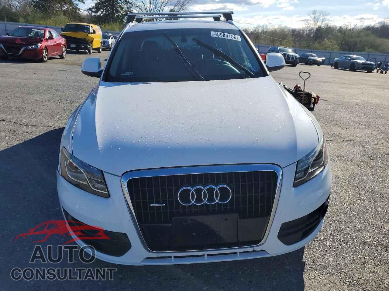 AUDI Q5 2010 - WA1LKAFP2AA044377