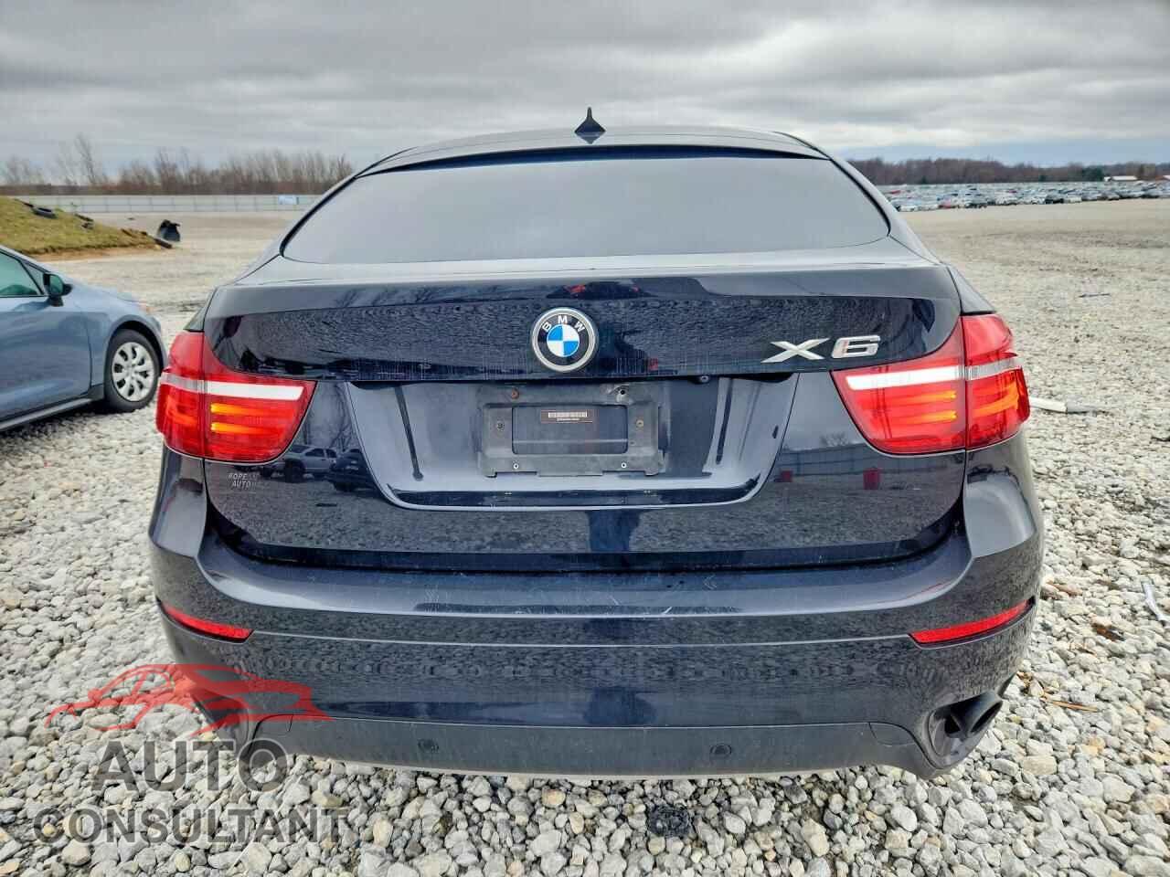 BMW X6 2013 - 5UXFG2C53DL782242