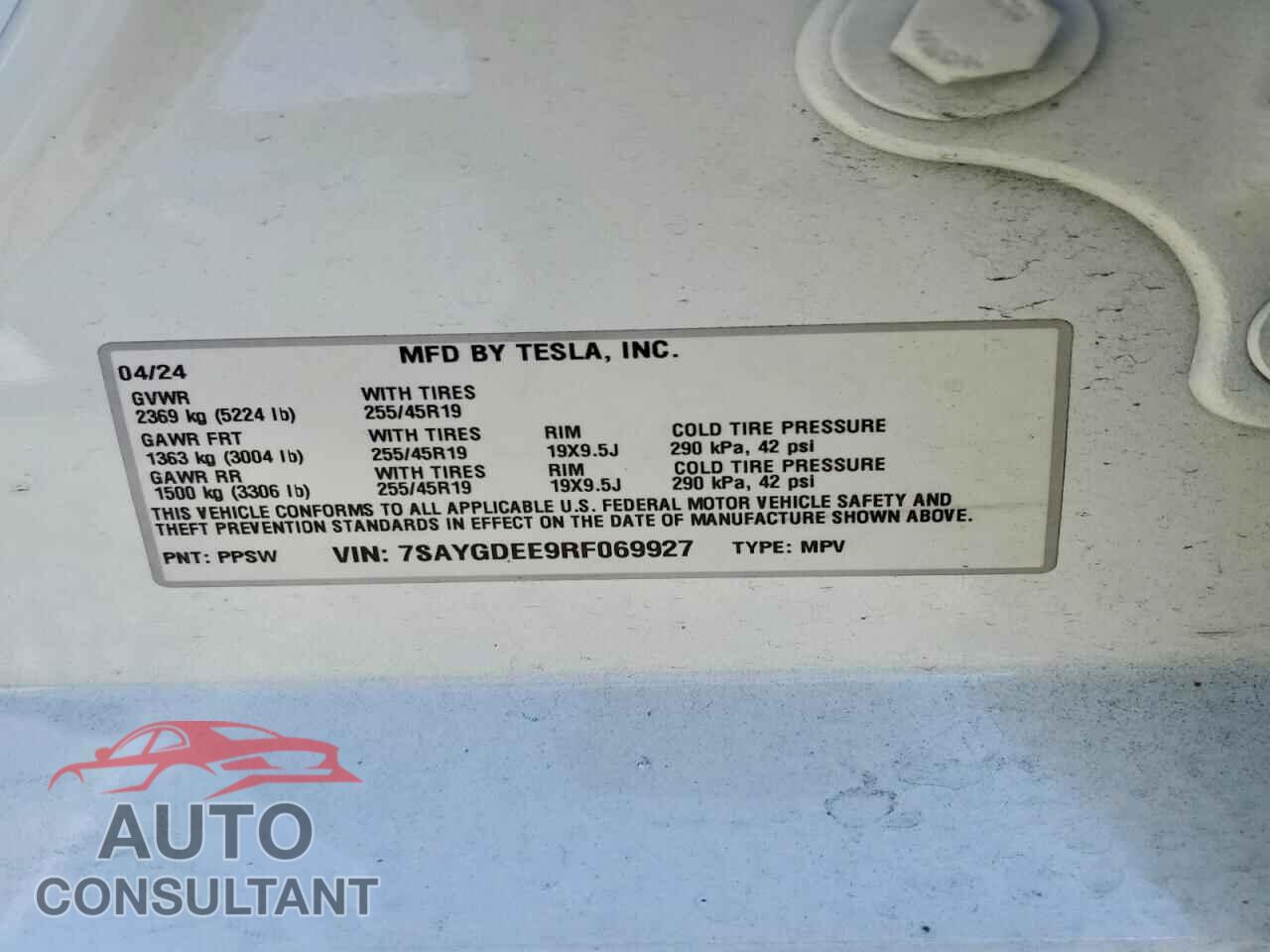 TESLA MODEL Y 2024 - 7SAYGDEE9RF069927