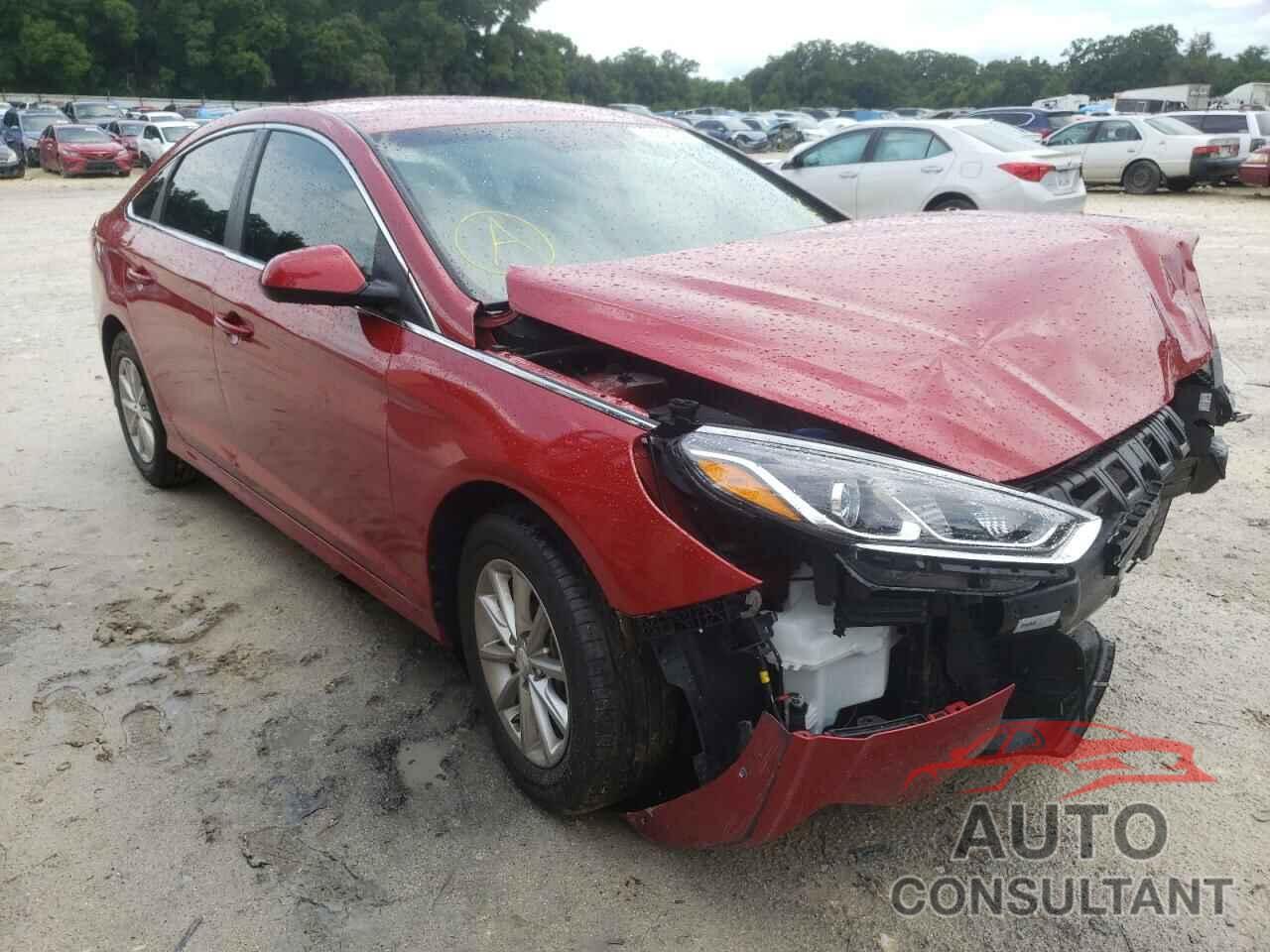 HYUNDAI SONATA 2019 - 5NPE24AF9KH752781