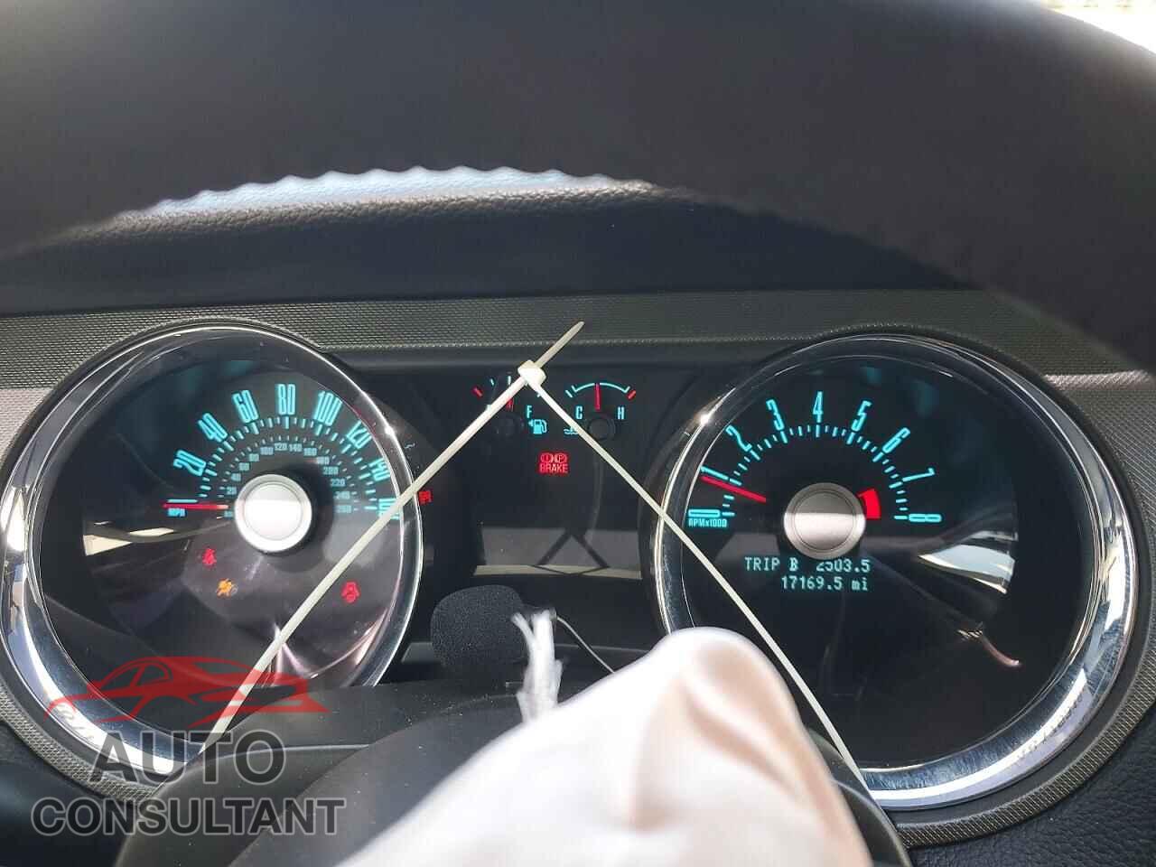 FORD MUSTANG 2011 - 1ZVBP8CF9B5169441