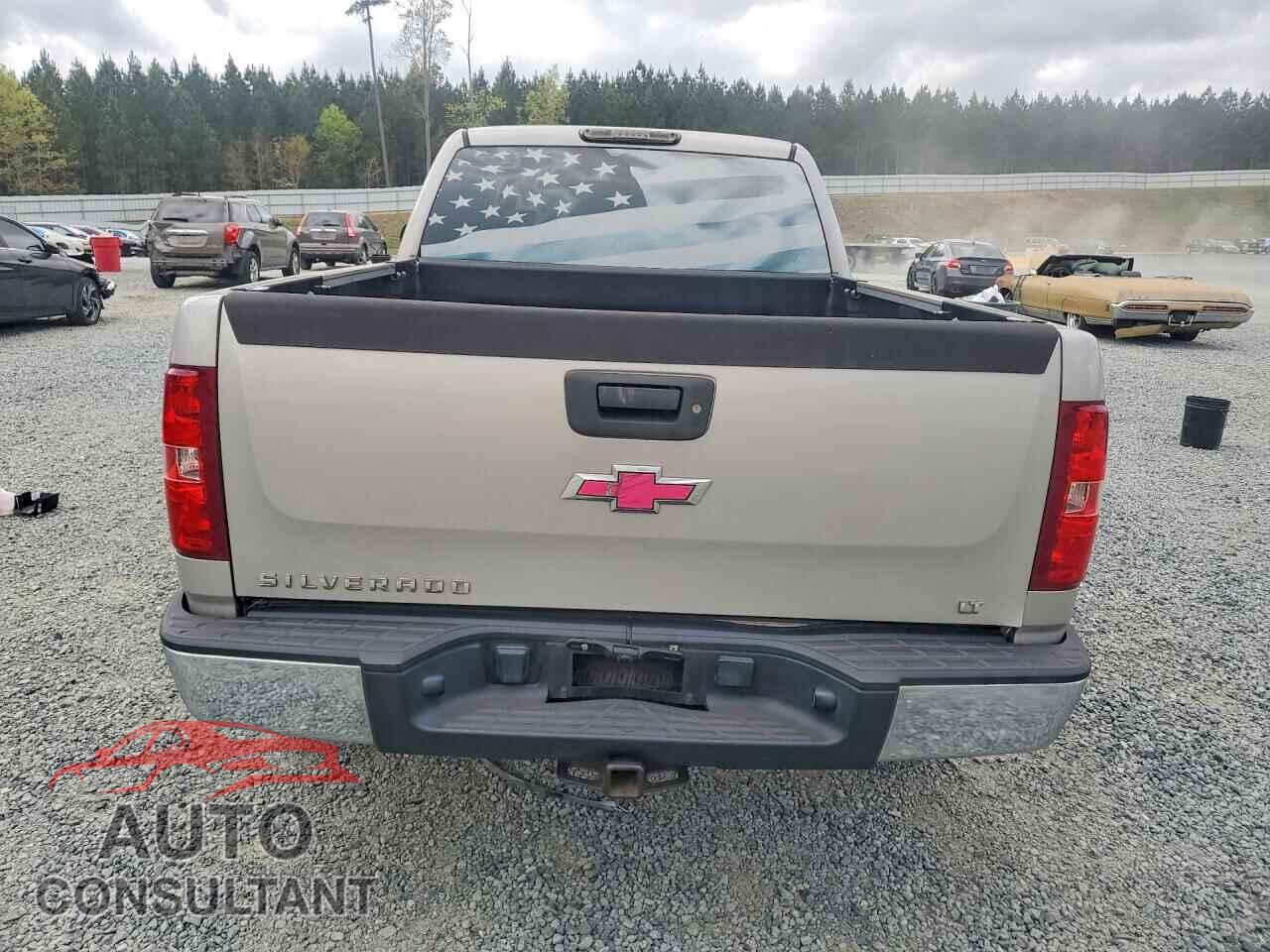 CHEVROLET SILVERADO 2009 - 2GCEC29C391100276
