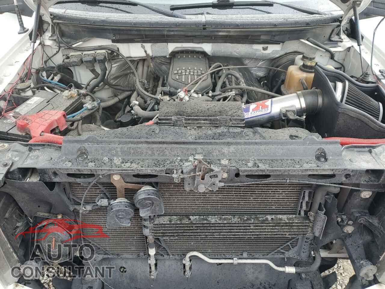 FORD F-150 2012 - 1FTFW1CF5CFC75783