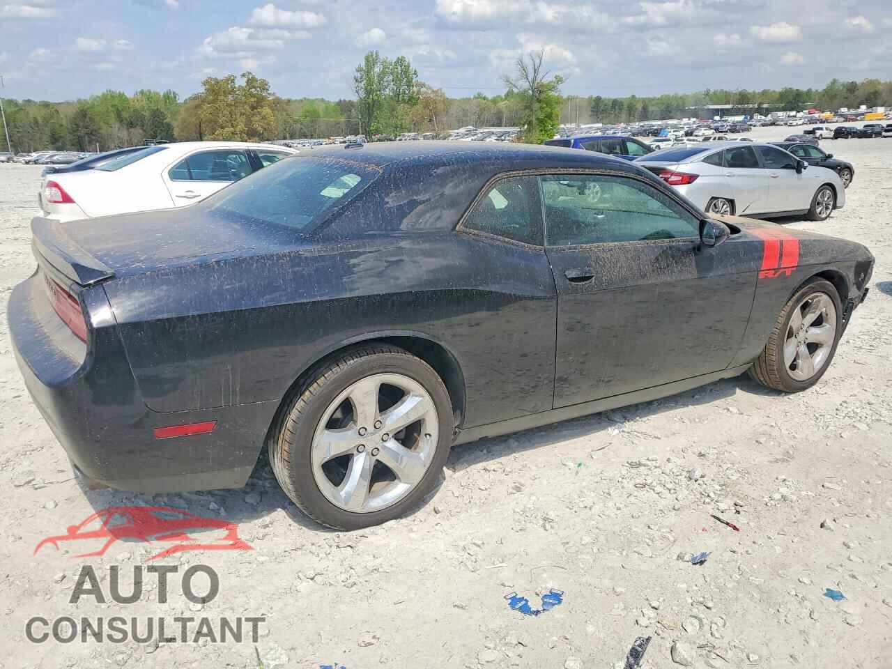 DODGE CHALLENGER 2013 - 2C3CDYBT9DH695804