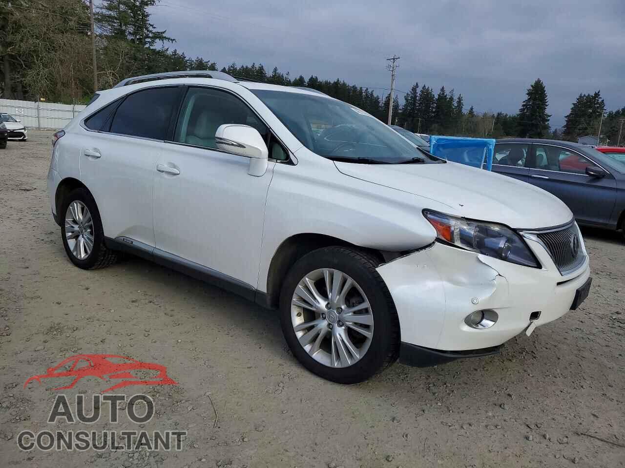 LEXUS RX450 2011 - JTJBC1BA5B2421146