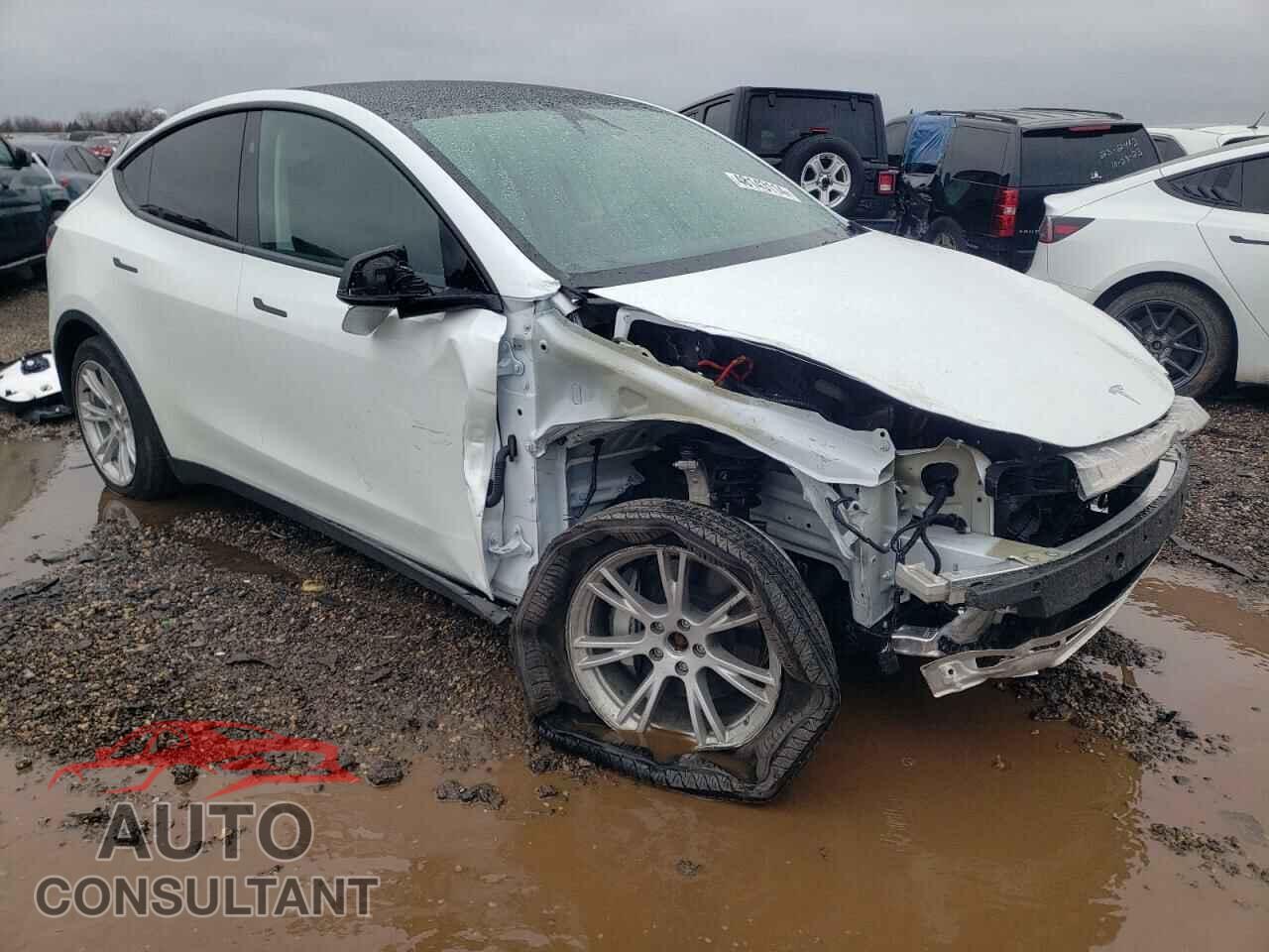 TESLA MODEL Y 2023 - 7SAYGDEE0PF833029
