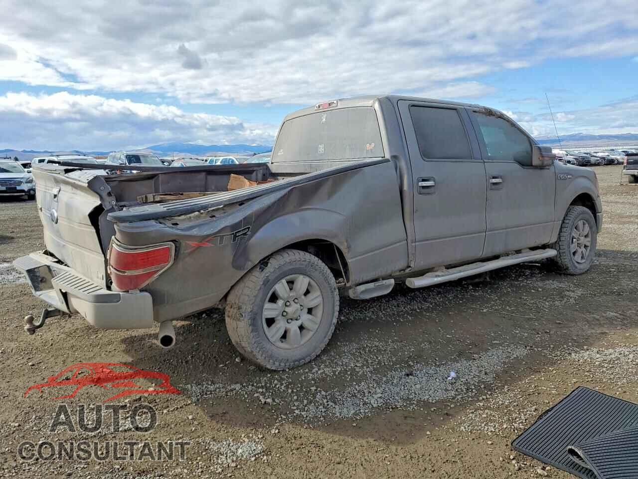 FORD F150 2010 - 1FTFW1EV9AFB63991