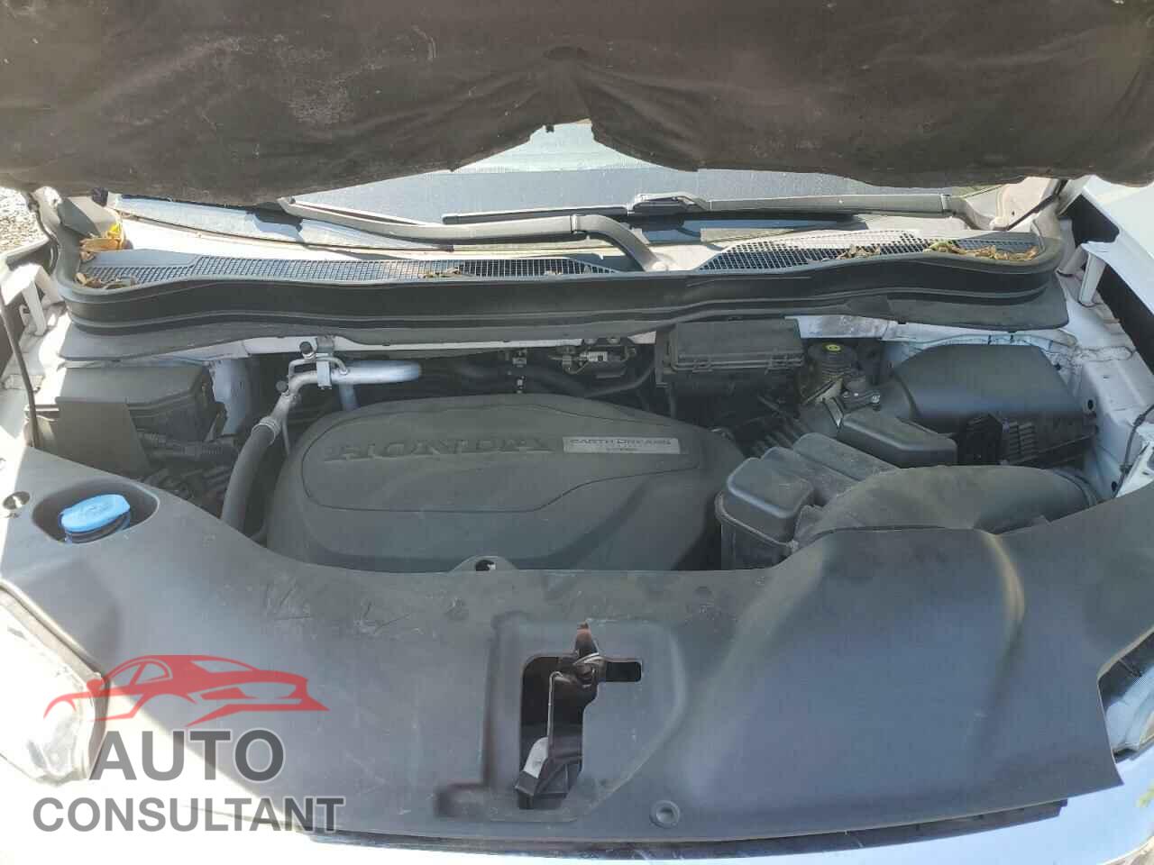HONDA PILOT 2020 - 5FNYF5H51LB007043