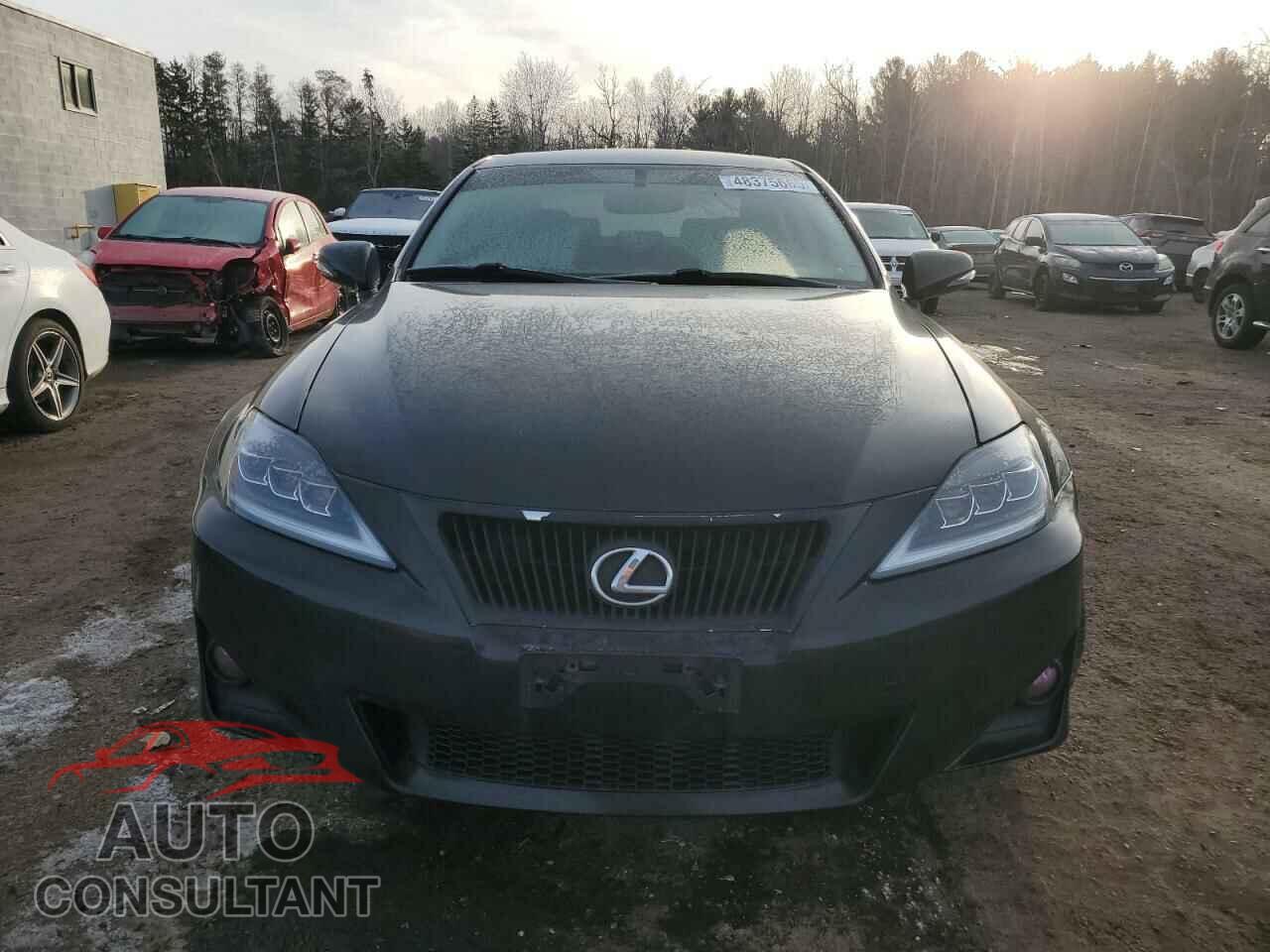 LEXUS IS 2011 - JTHCF5C22B5048223