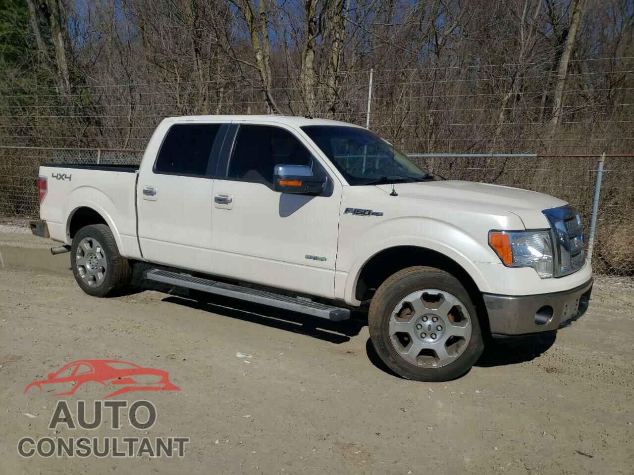 FORD F-150 2011 - 1FTFW1ET1BFC64913