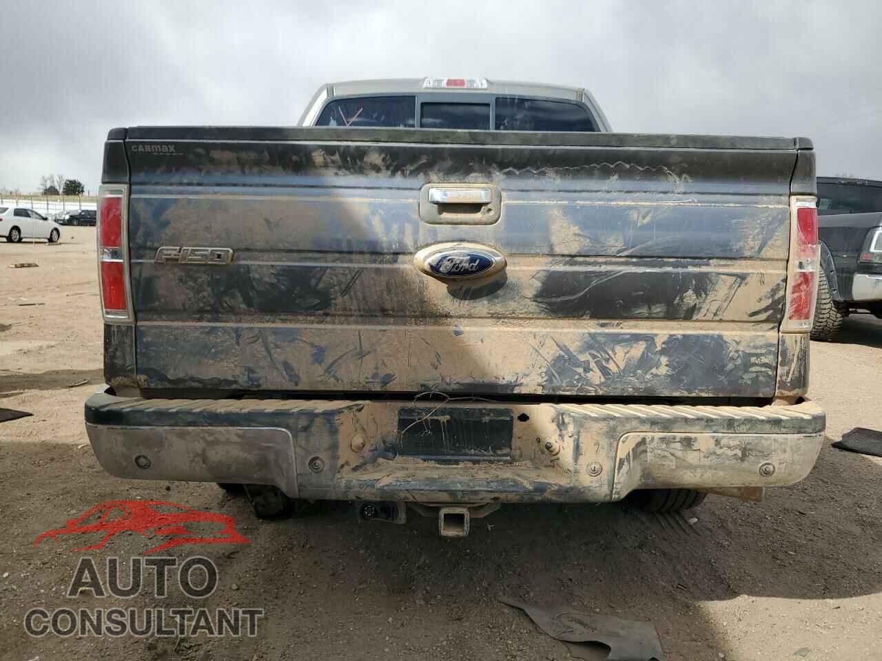 FORD F-150 2013 - 1FTFW1EF3DFA22301