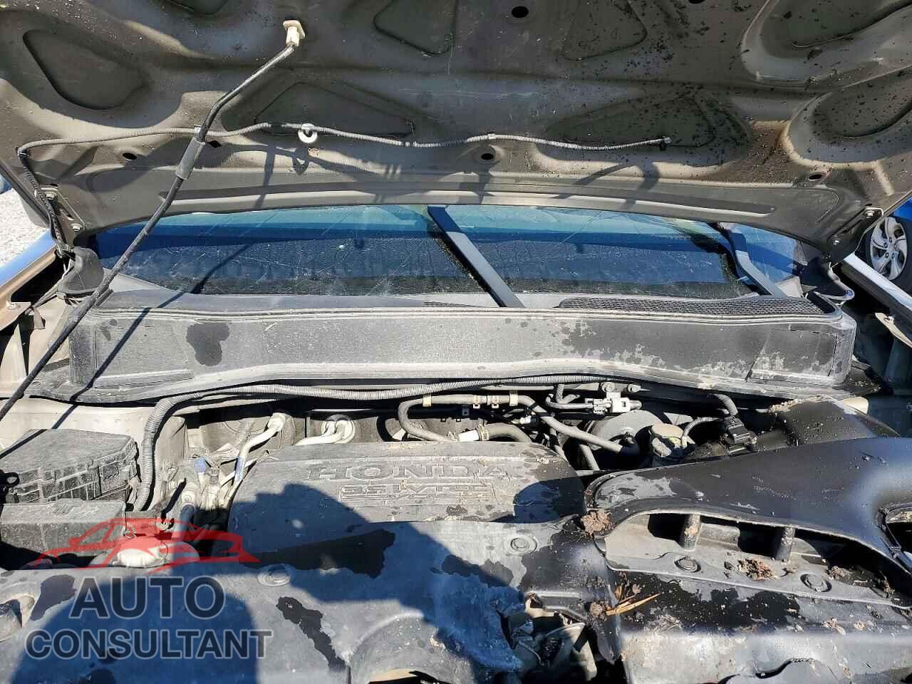 HONDA PILOT 2011 - 5FNYF4H55BB033881