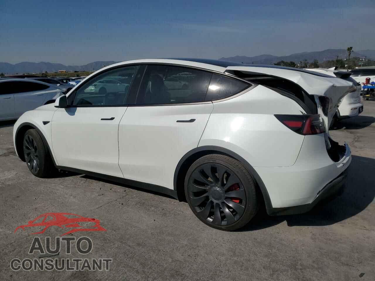 TESLA MODEL Y 2024 - 7SAYGDEF5RF063647
