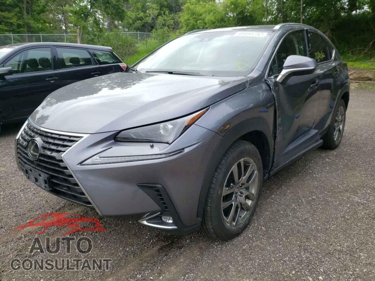 LEXUS NX 2019 - JTJBARBZ8K2206581