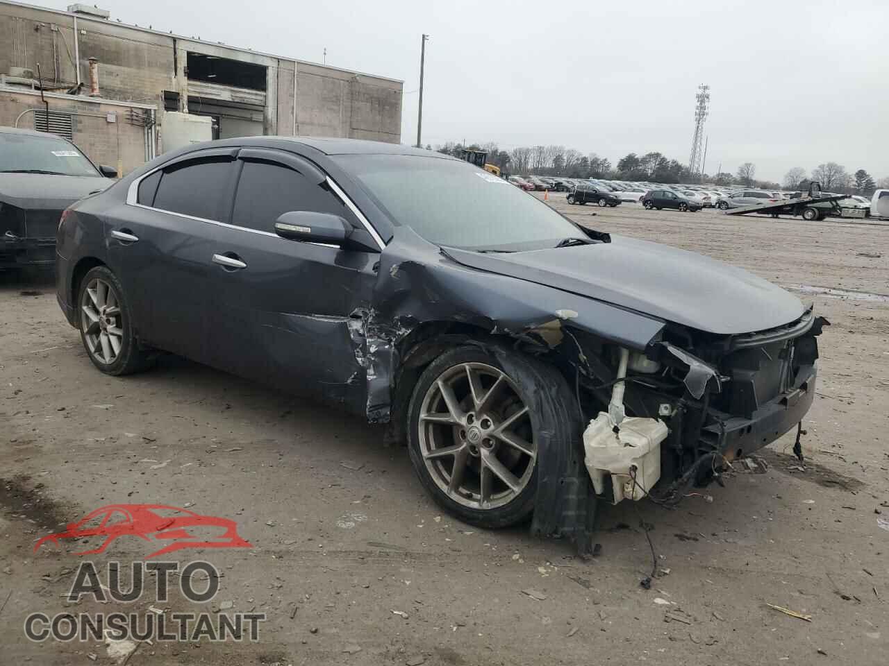 NISSAN MAXIMA 2010 - 1N4AA5AP7AC835223