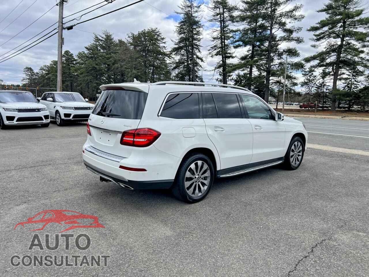MERCEDES-BENZ GLS-CLASS 2019 - 4JGDF6EE6KB226666
