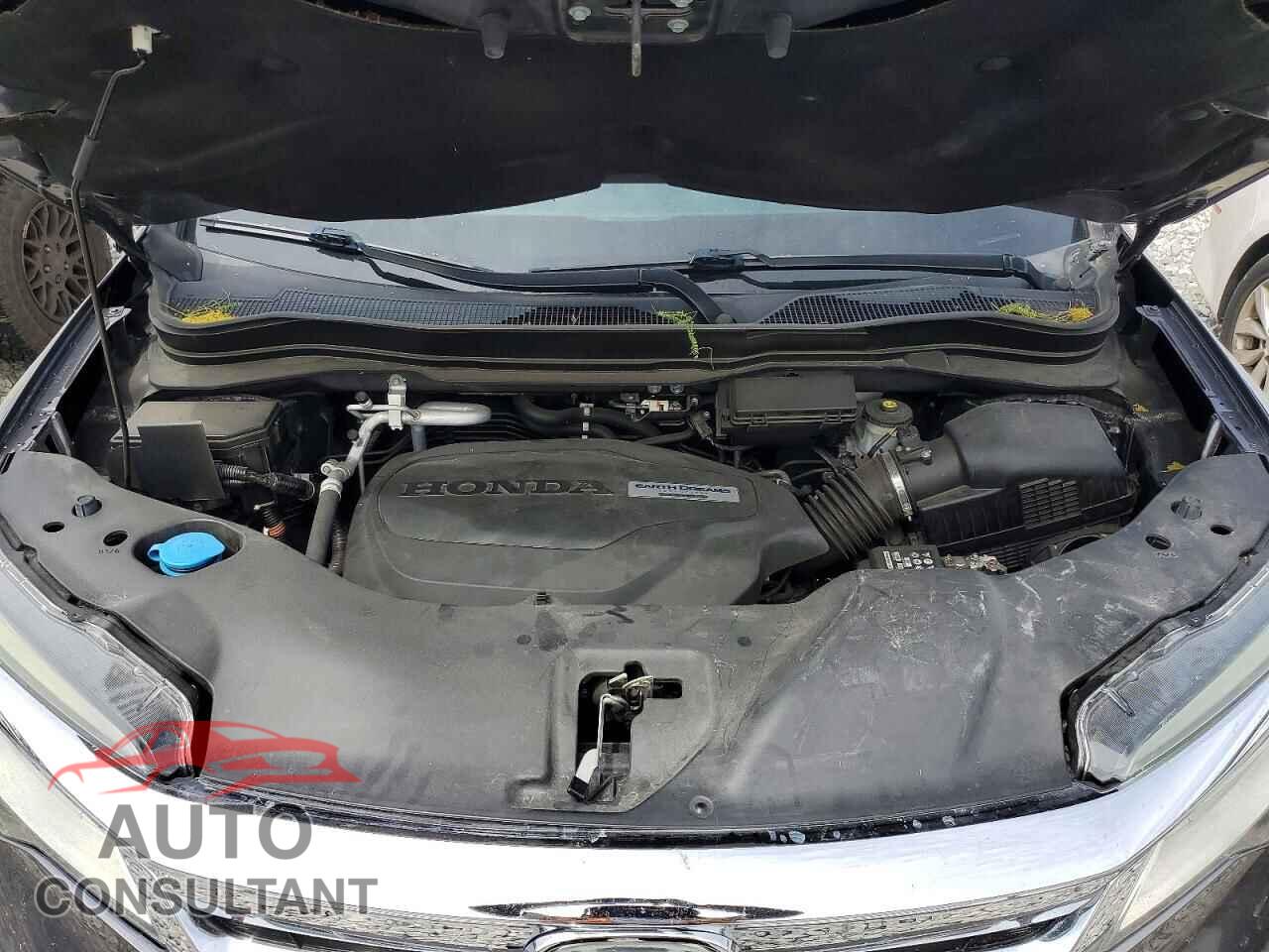 HONDA PILOT 2019 - 5FNYF6H64KB054757