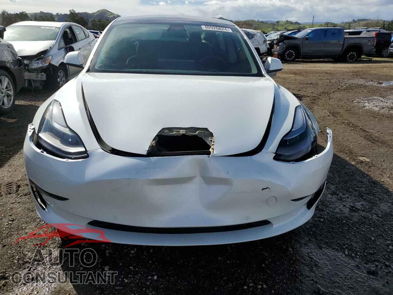 TESLA MODEL 3 2022 - 5YJ3E1EA1NF202859