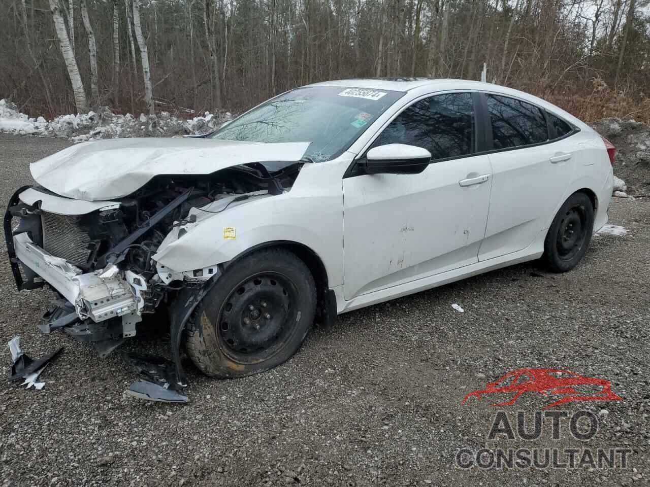 HONDA CIVIC 2019 - 2HGFC2F73KH019238