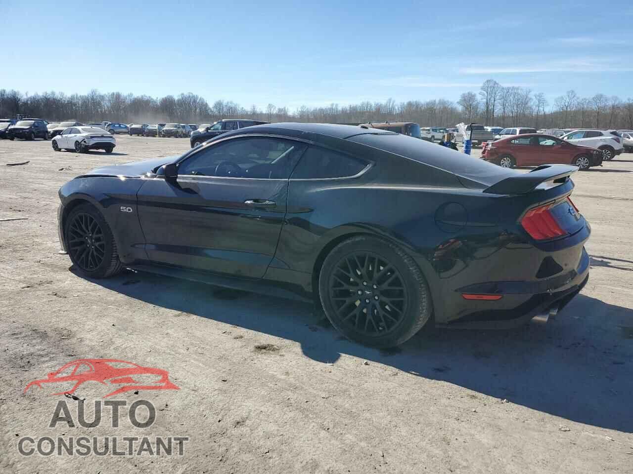 FORD MUSTANG 2019 - 1FA6P8CF2K5120575